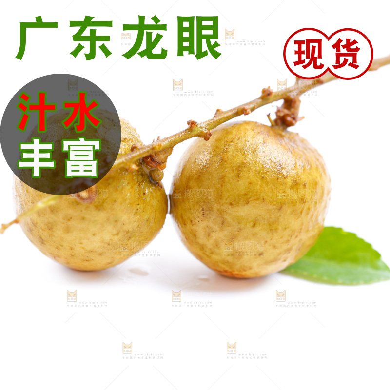 新鲜龙眼放在白底上