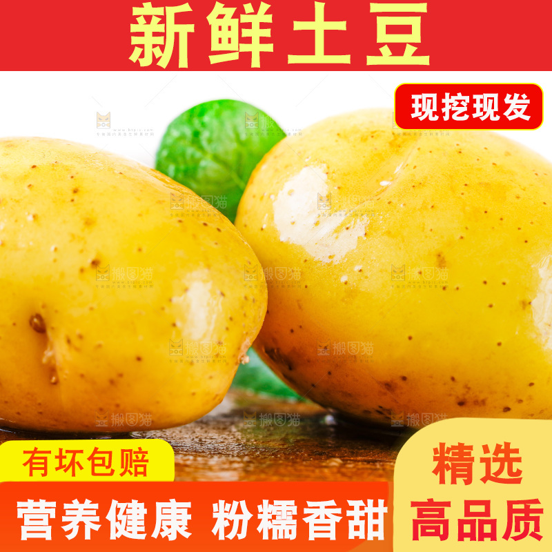 新鲜土豆放在木底上