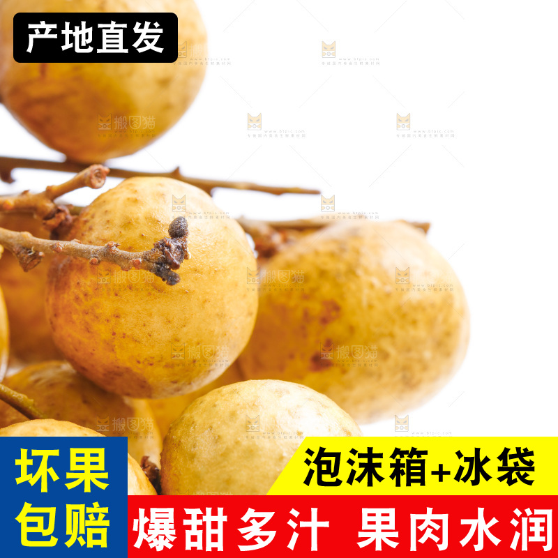 泰国龙眼放在白底上