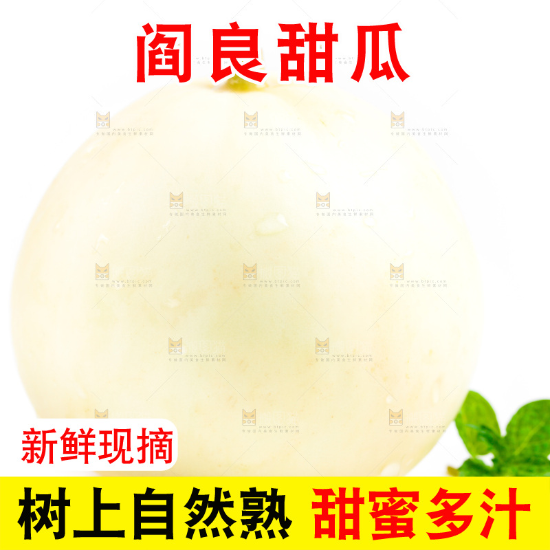 白底上的阎良甜瓜