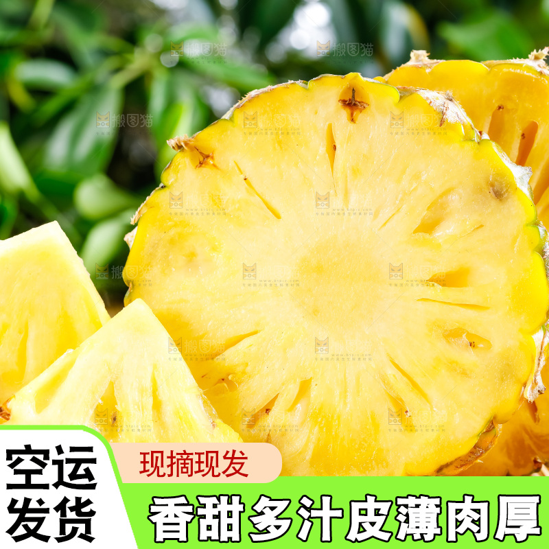 云南香水小菠萝放在白底上