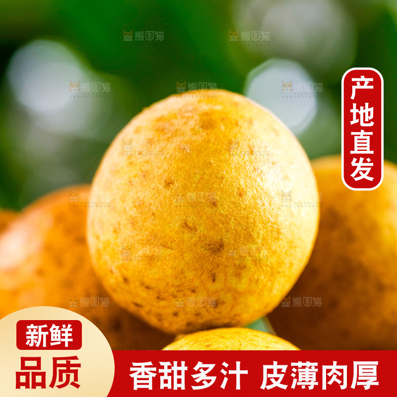 木底上放着泰国龙眼