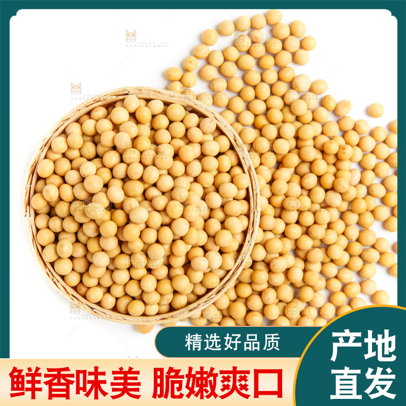 一碗黄豆放在白底上