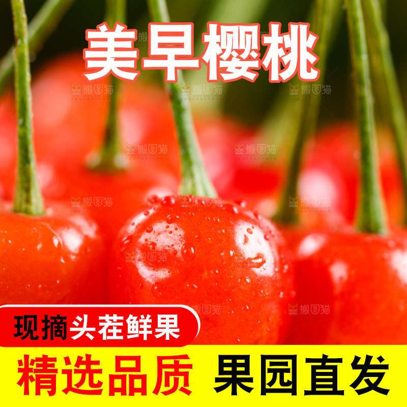 木底上放着烟台水晶黄樱桃