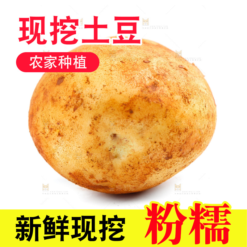 白底上的土豆