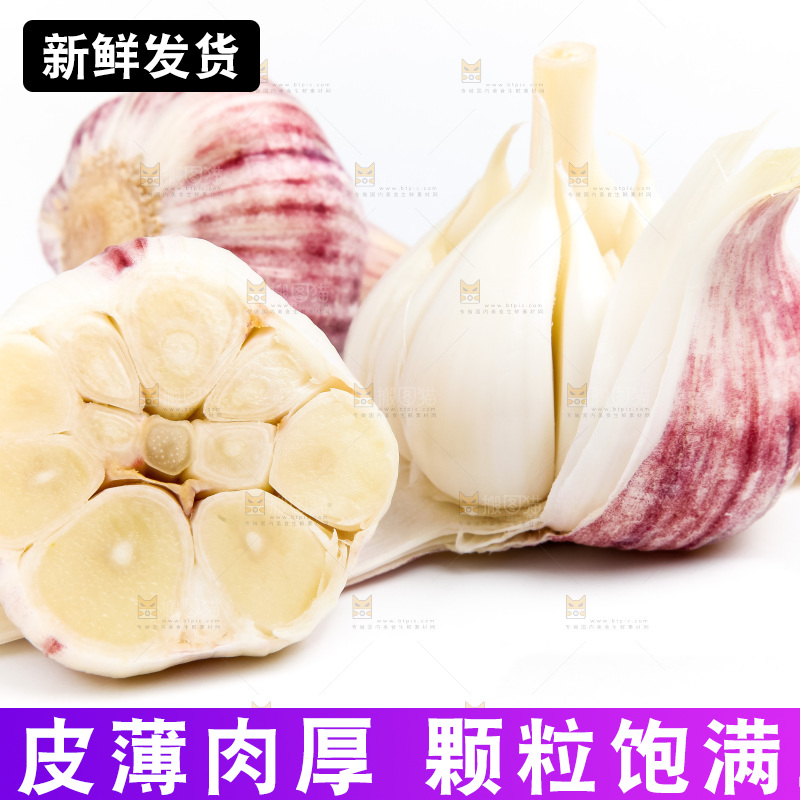 白底上的大蒜