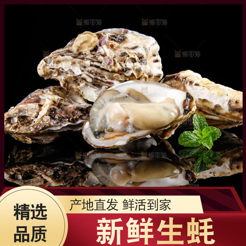 黑底上放着海蛎子