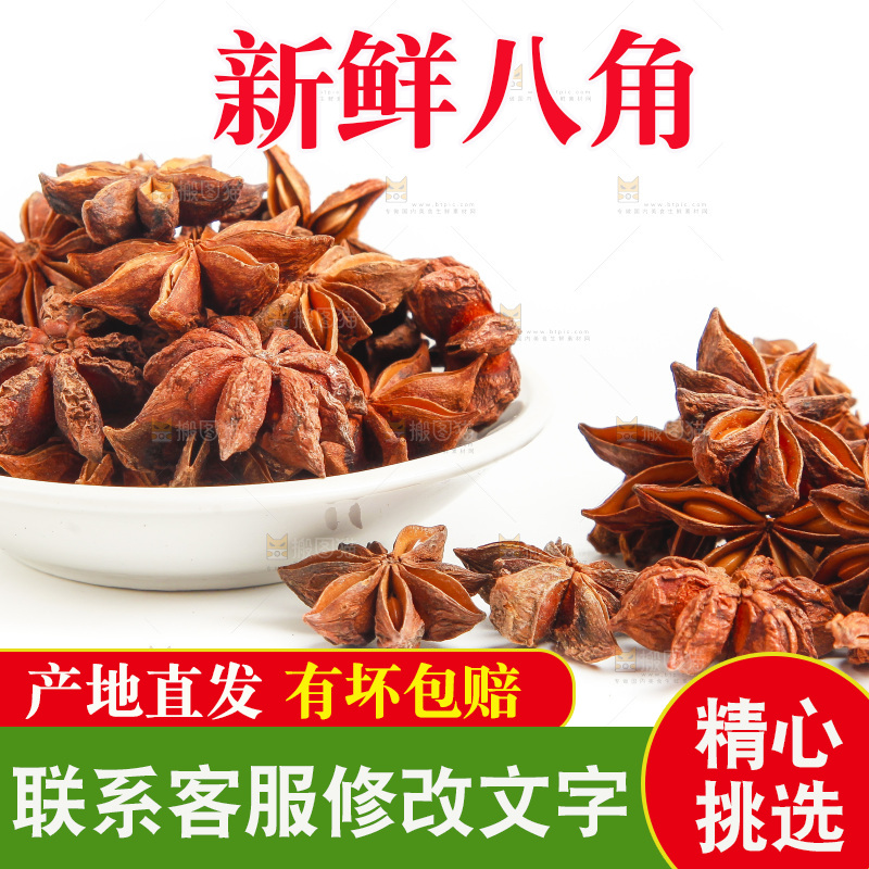 广西八角放在白底上