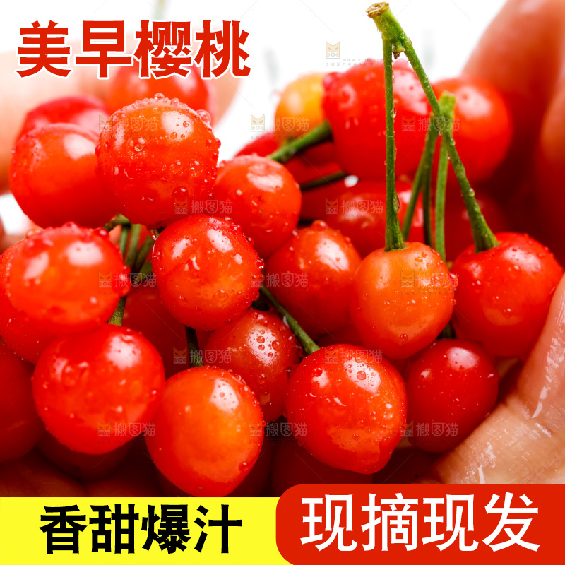 手拿新鲜樱桃