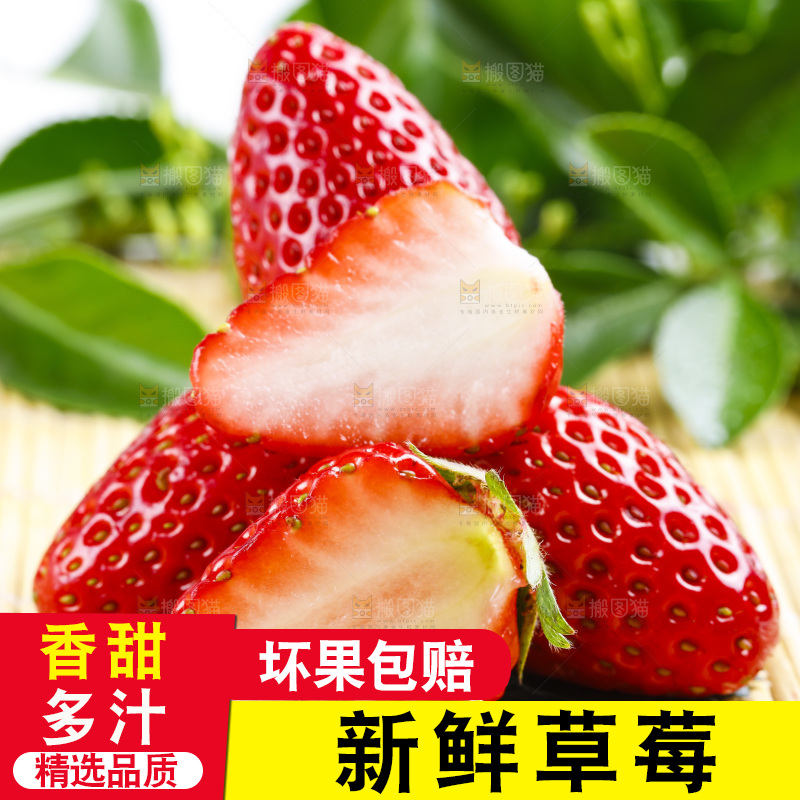 木底上放着丹东草莓