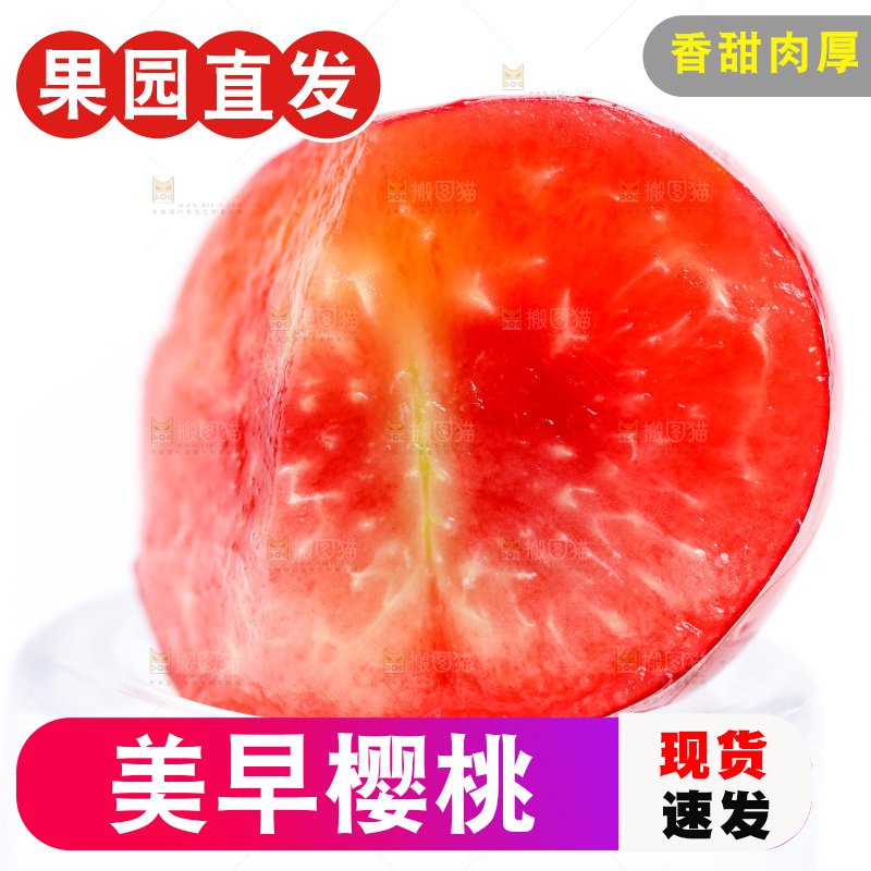 白底上的新鲜樱桃