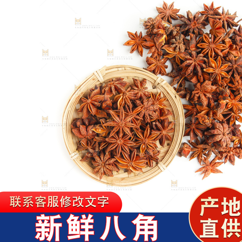广西八角放在白底上