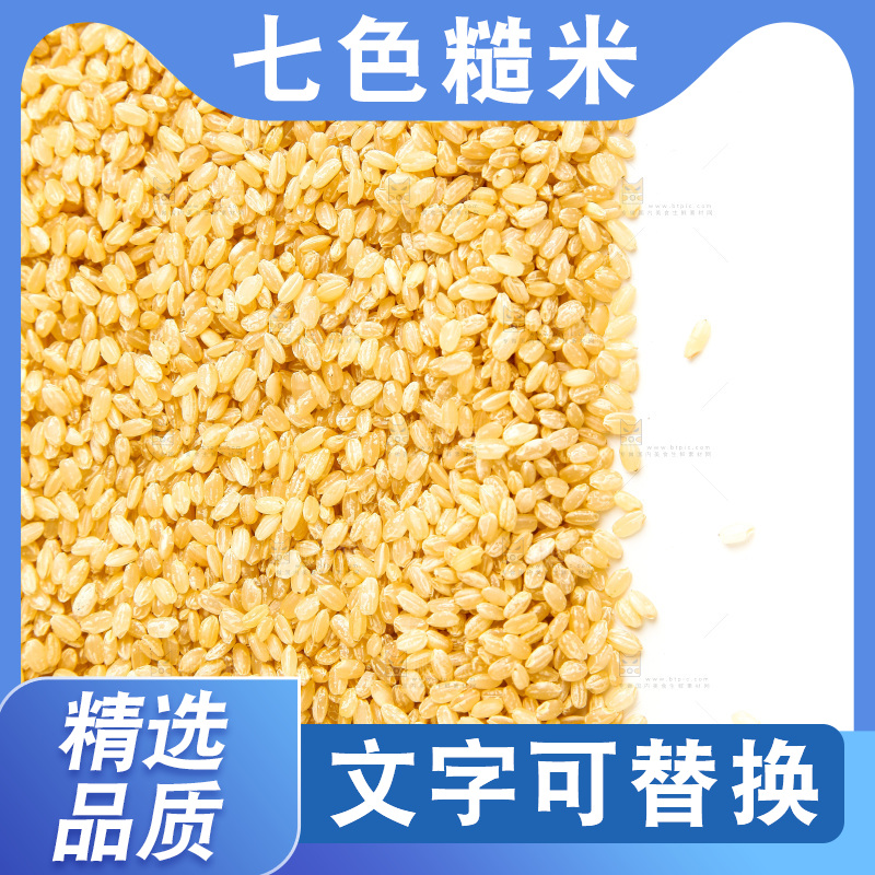 东北糙米放在白底上