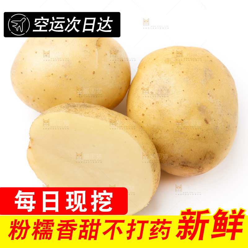 新鲜土豆放在白底上
