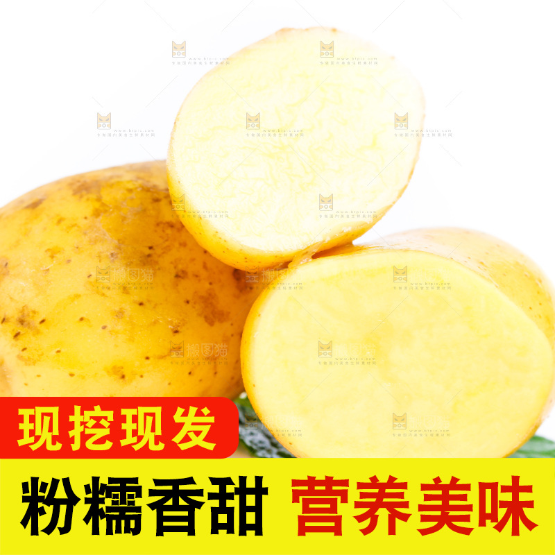 黄心土豆放在白底上