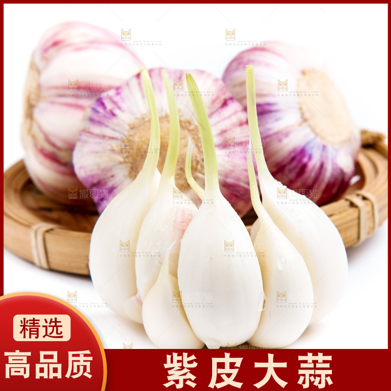 紫皮大蒜放在白底上