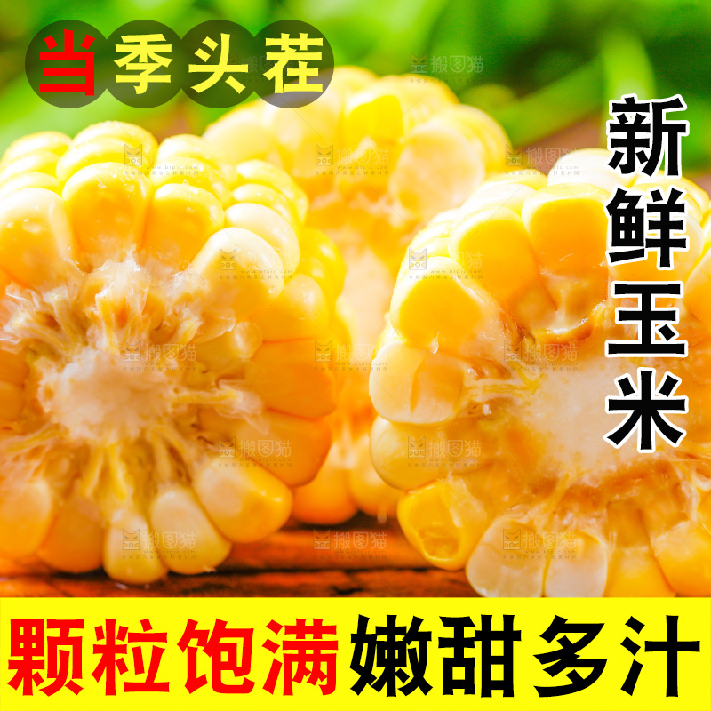 云南水果甜玉米放在木底上