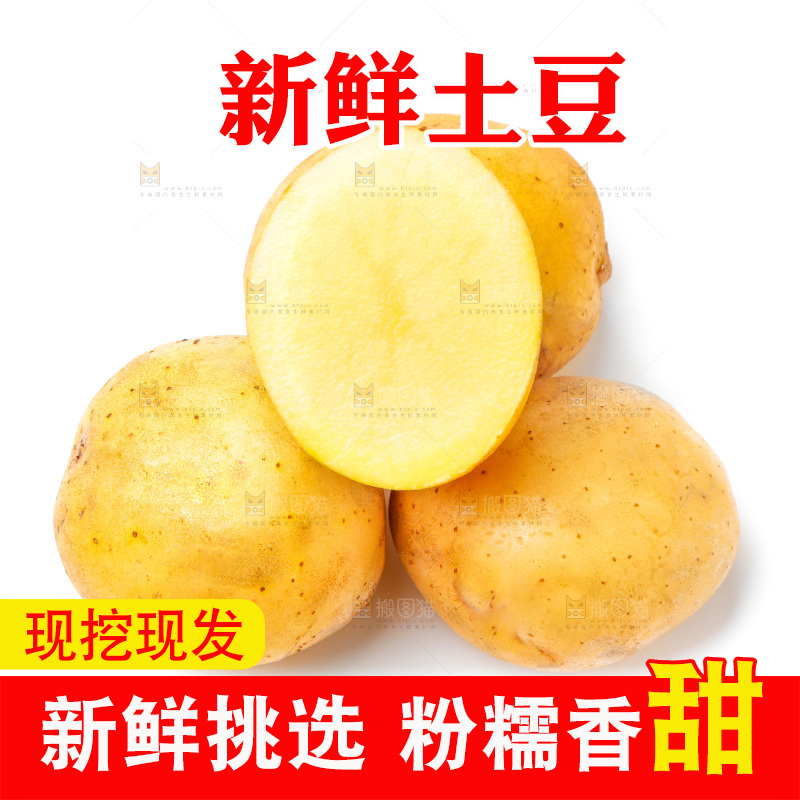 白底上的土豆