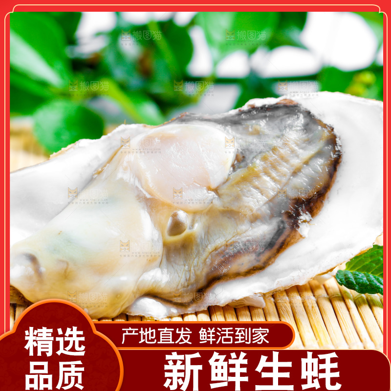 木底上放着乳山生蚝