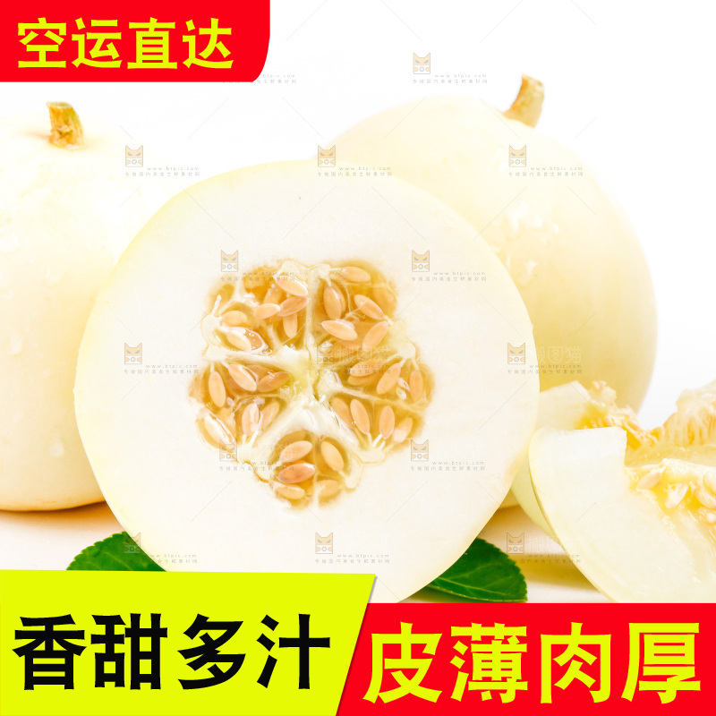 新鲜阎良甜瓜放在白底上