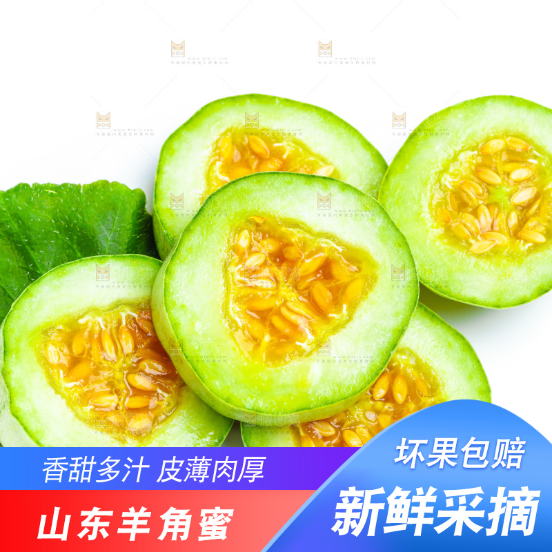 新鲜羊角蜜放在白底上