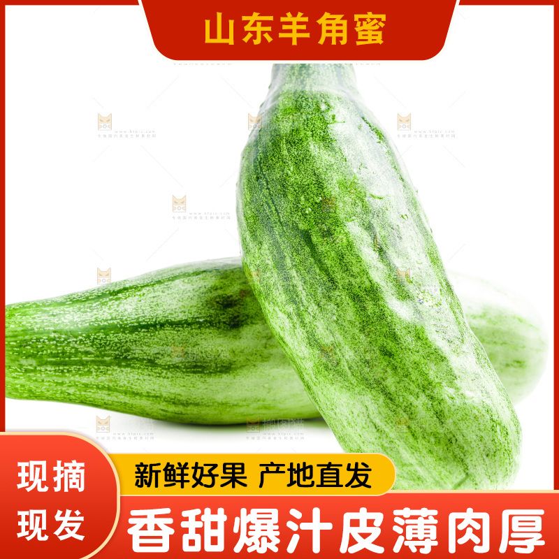 新鲜羊角蜜放在白底上