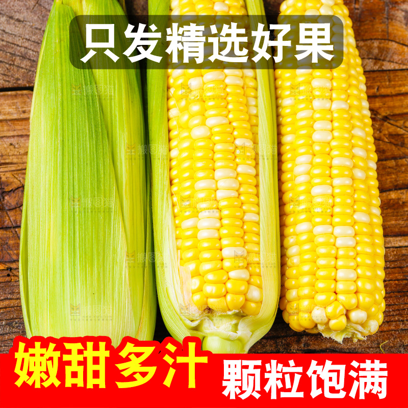木底上的新鲜玉米