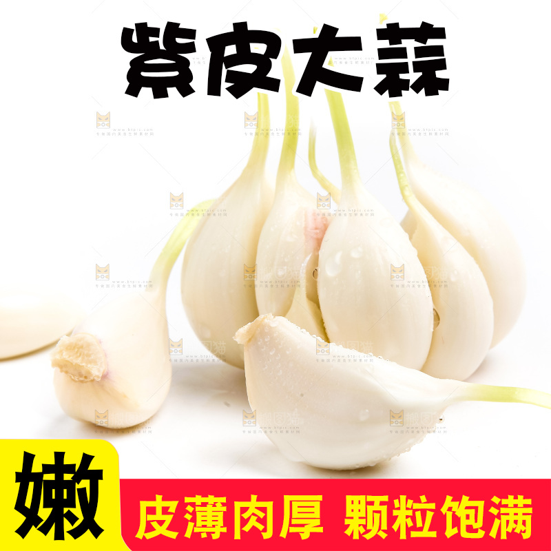 紫皮大蒜放在白底上