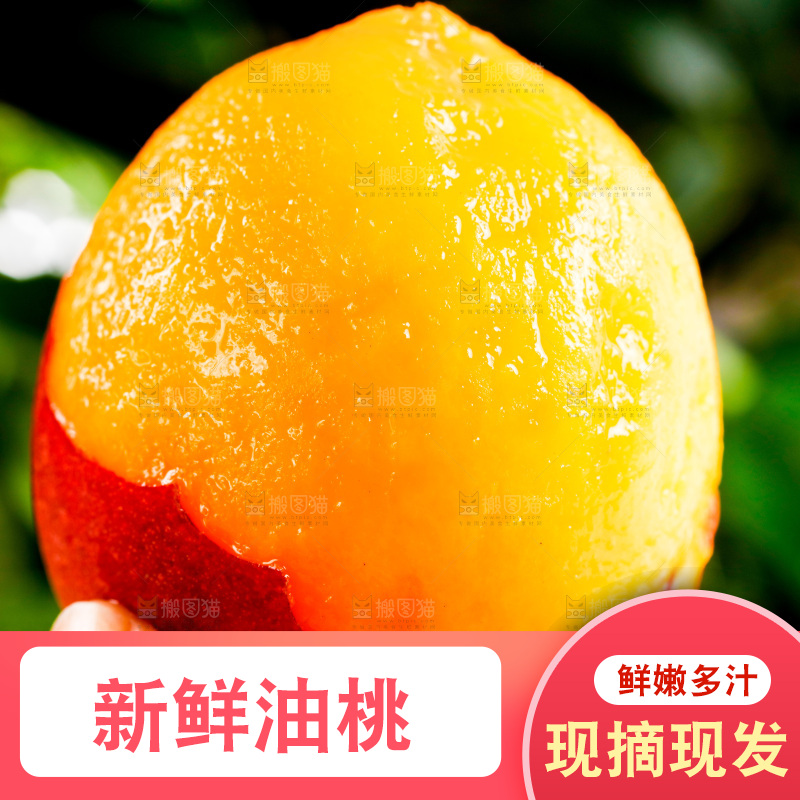 手拿黄心油桃