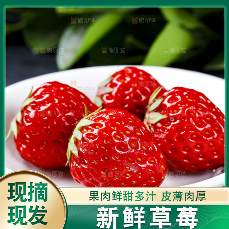 丹东草莓放在深底上
