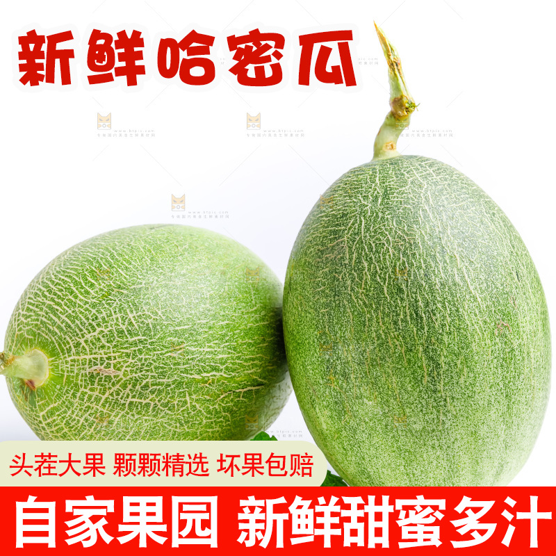 白底上的哈密瓜