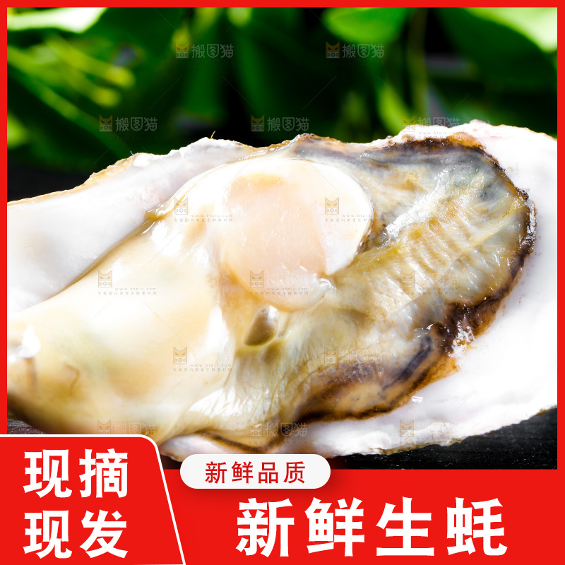 黑底上放着海蛎子