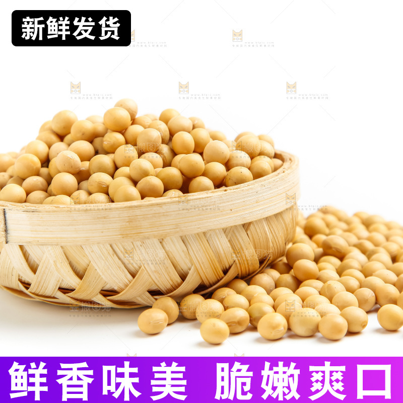 一碗黄豆放在白底上