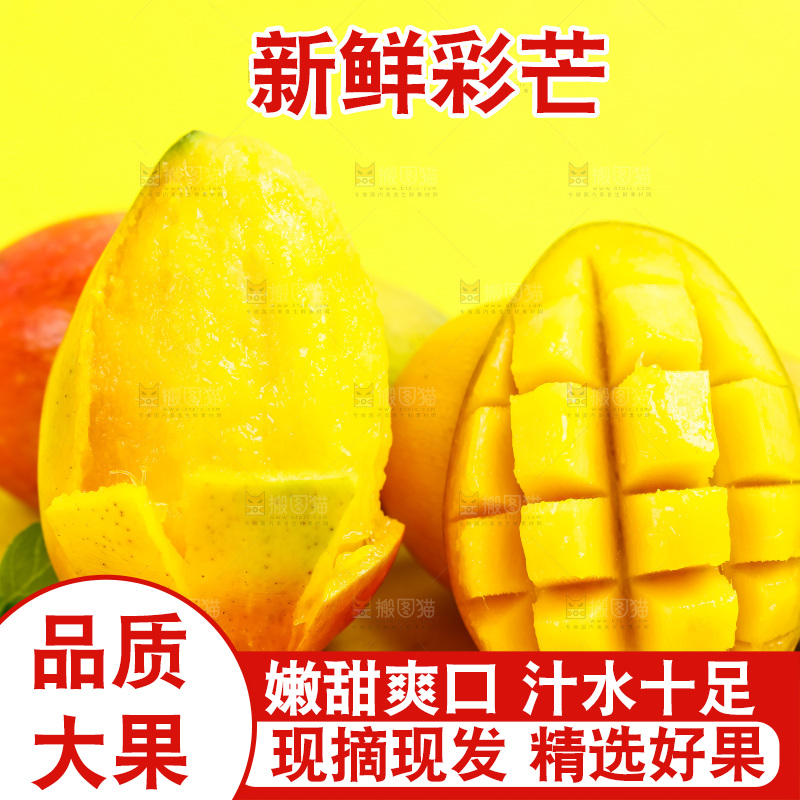 浅底上的彩芒