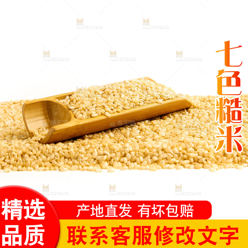 东北糙米放在白底上
