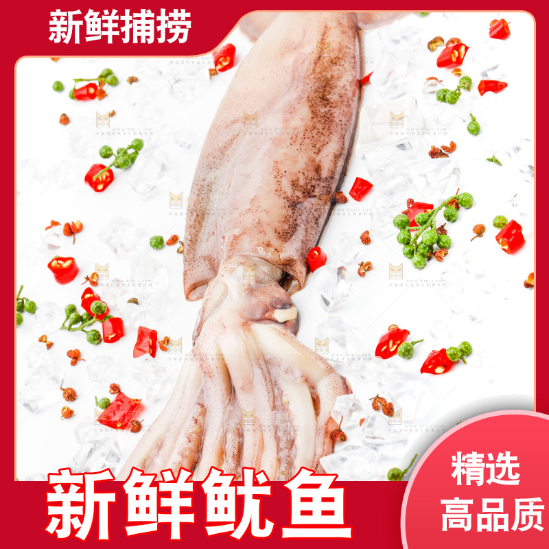 白底上放着鱿鱼