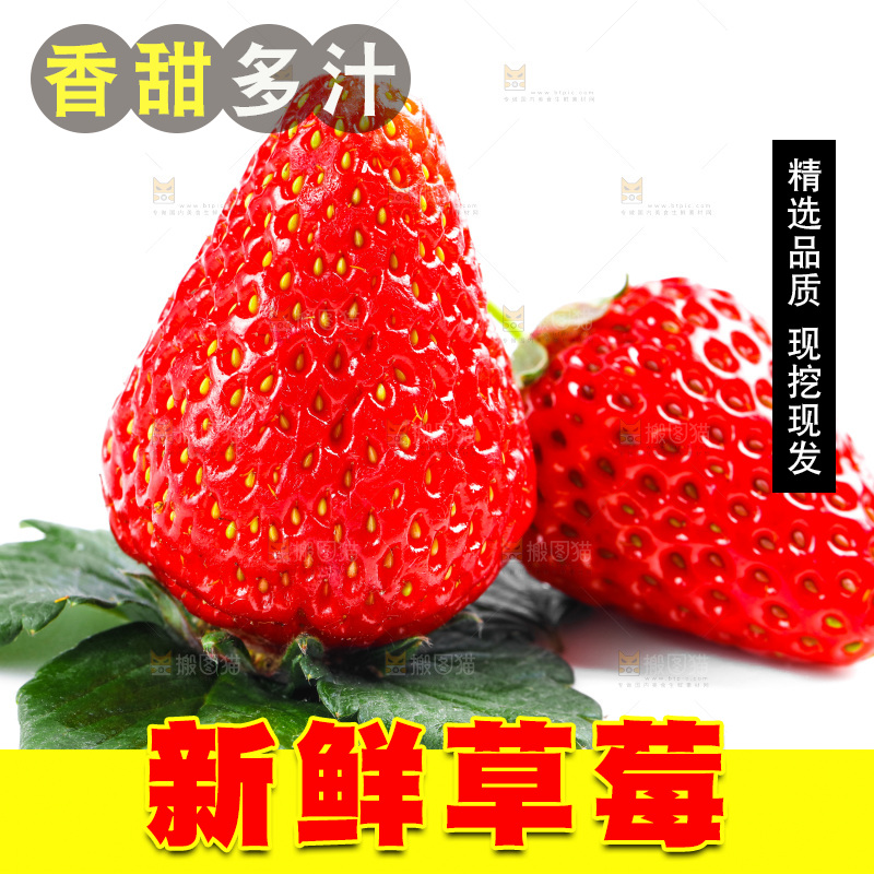 白底上的丹东草莓