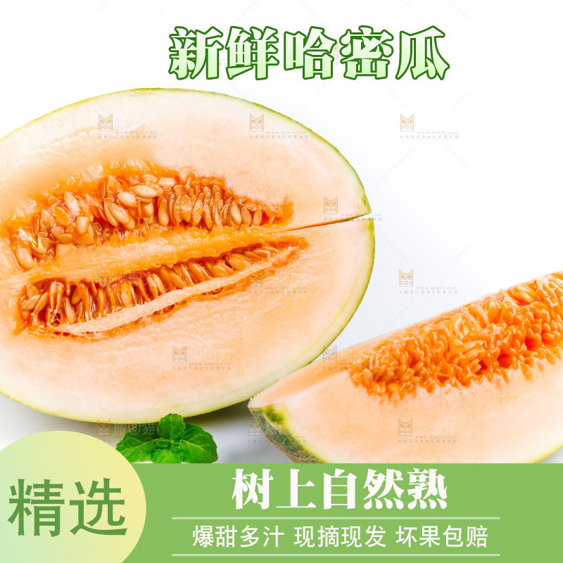 新鲜哈密瓜放在白底上