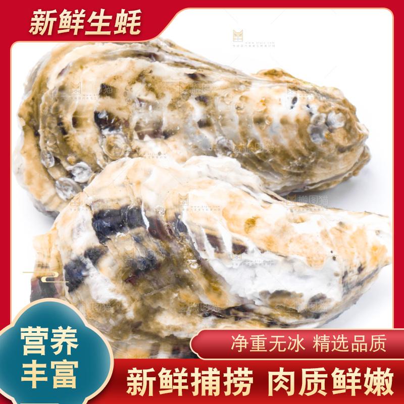 乳山生蚝放在白底上
