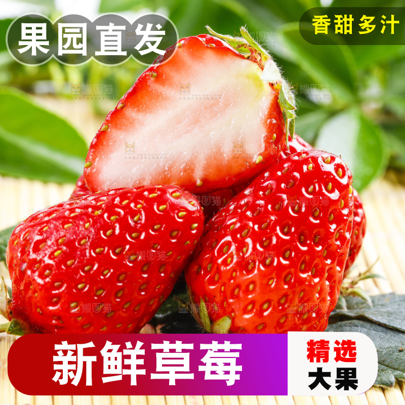 木底上放着丹东草莓