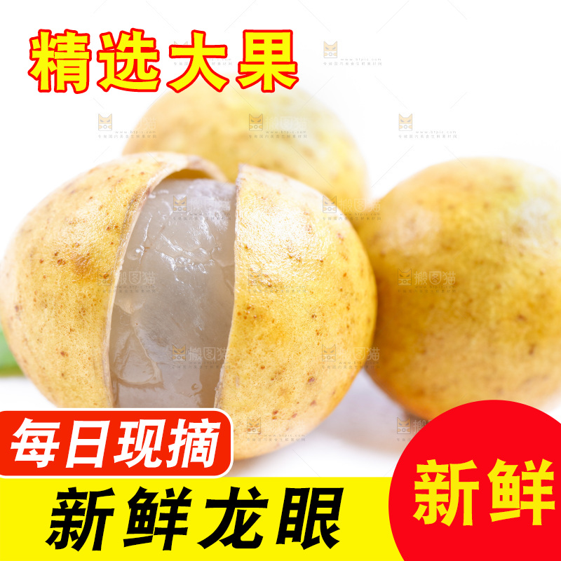 新鲜龙眼放在白底上