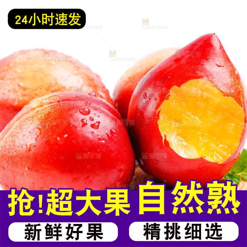 山西黄心油桃放在白底上