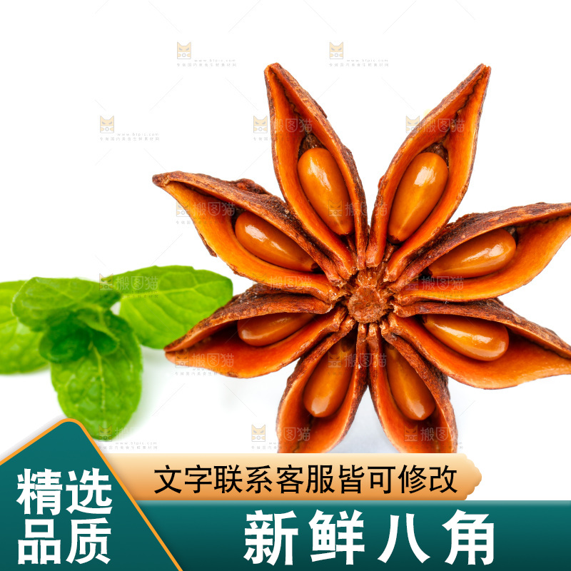广西八角放在白底上