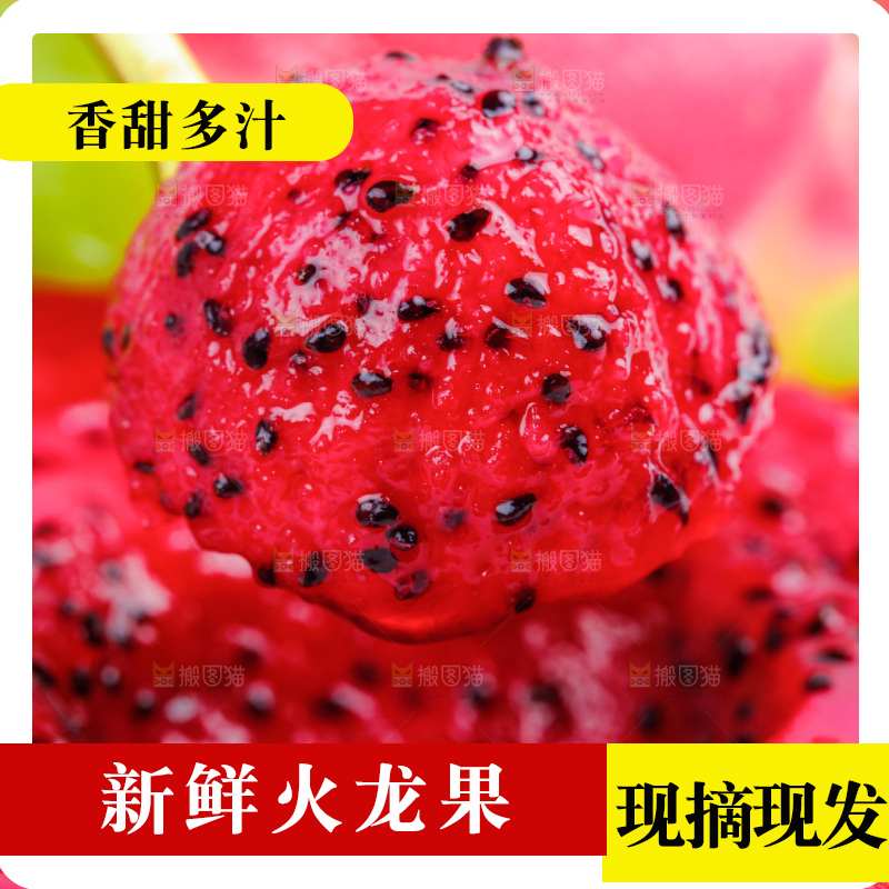 勺子里装着红心火龙果