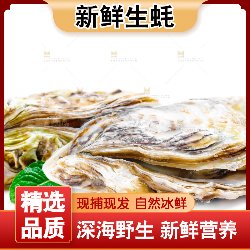 白底上的生蚝