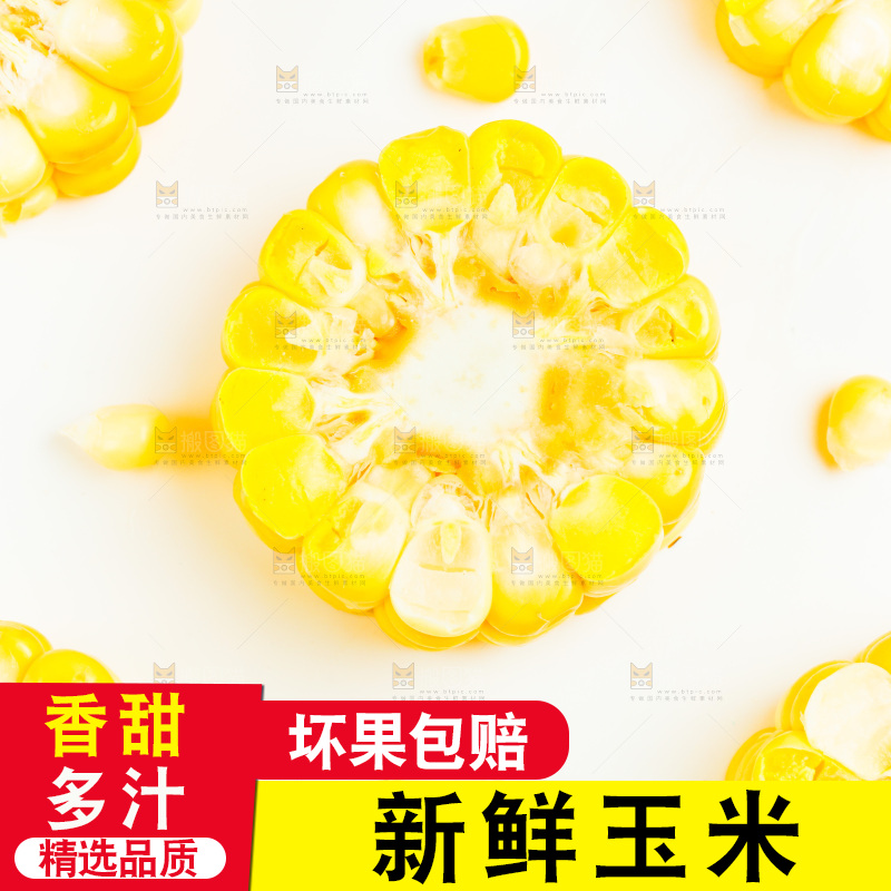 白底上的甜玉米