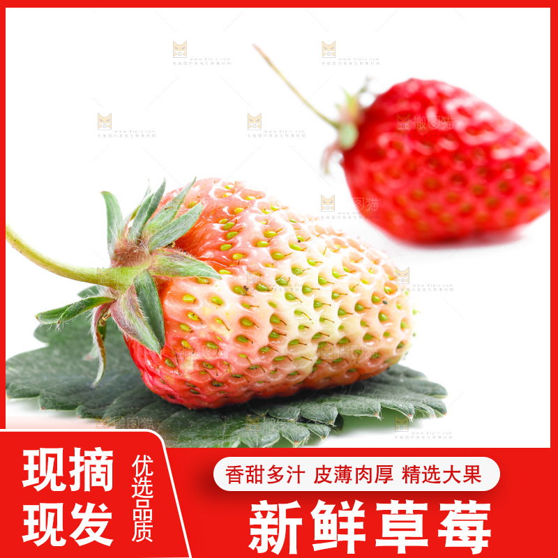 白底上的新鲜草莓