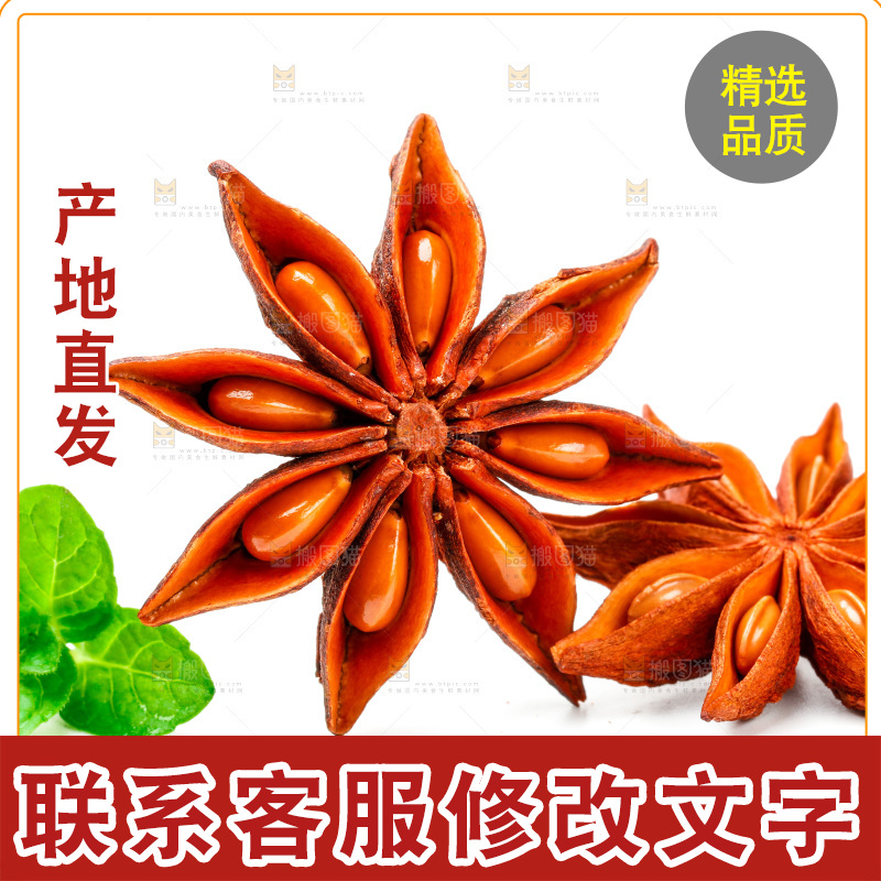广西八角放在白底上