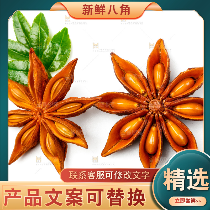 广西八角放在白底上