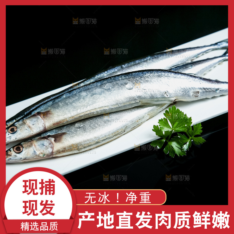 黑底上放着一盘秋刀鱼